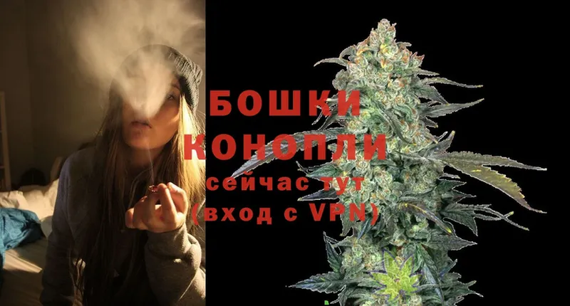 купить наркоту  Кологрив  Каннабис OG Kush 